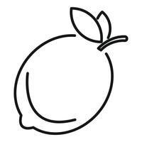 Minimalistic line drawing of a lemon with leaves vector
