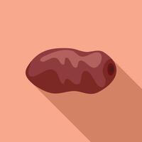 Dried date fruit showing its stone icon vector