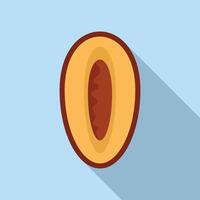 Half of apricot with a stone showing its texture vector