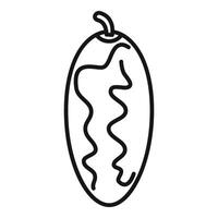 Line drawing of a ripe feijoa fruit with stem vector