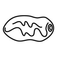 Dried dates fruit drawing showing wrinkled texture vector