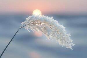Beautiful nature view with shining light representing peace in life photo