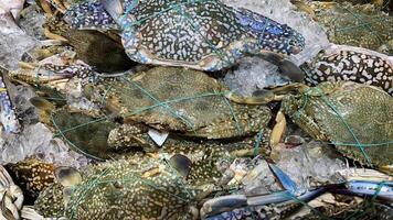 Top view of fresh crabs display in market. Seafood concept. photo