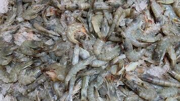 Top view of fresh prawn display in wet market. Seafood concept. photo