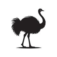Ostrich silhouette illustration vector