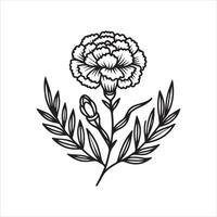 line art of a carnation vector