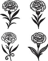 line art of a carnation vector