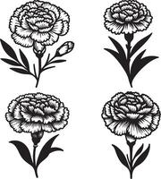 line art of a carnation vector