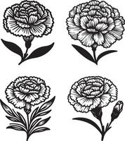 line art of a carnation vector