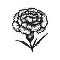 line art of a carnation vector