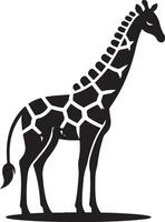 giraffe art Illustration vector