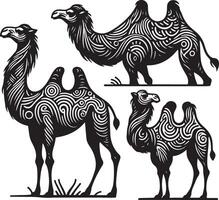 camel bundle illustration vector