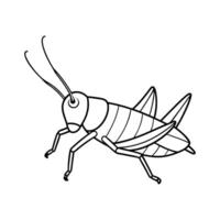 cartoon grasshopper isolated on Line art vector