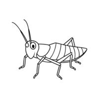 cartoon grasshopper isolated on Line art vector