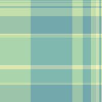 Carpet background pattern, hispanic seamless textile plaid. Newborn texture check tartan fabric in pastel and light colors. vector