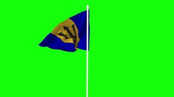 Barbados Flag Waving in Wind with Pole, 3D Rendering, Chroma Key, Luma Matte Black and White Selection of Flag video