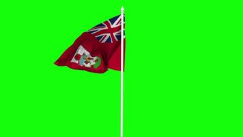 Bermuda Flag Waving in Wind with Pole, 3D Rendering, Chroma Key, Luma Matte Black and White Selection of Flag video