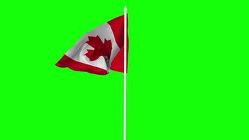 Canada Flag Waving in Wind with Pole, 3D Rendering, Chroma Key, Luma Matte Black and White Selection of Flag video