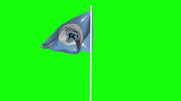 International Criminal Police Organization, ICPO, INTERPOL Flag Waving in Wind with Pole, 3D Rendering, Chroma Key, Luma Matte Black and White Selection of Flag video