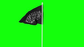 Shahadah Islamic Flag Waving in Wind with Pole, 3D Rendering, Chroma Key, Luma Matte Black and White Selection of Flag video