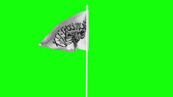 Afghanistan Flag Waving in Wind with Pole, 3D Rendering, Chroma Key, Luma Matte Black and White Selection of Flag video