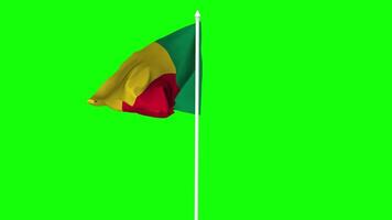 Benin Flag Waving in Wind with Pole, 3D Rendering, Chroma Key, Luma Matte Black and White Selection of Flag video