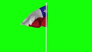 Chile Flag Waving in Wind with Pole, 3D Rendering, Chroma Key, Luma Matte Black and White Selection of Flag video