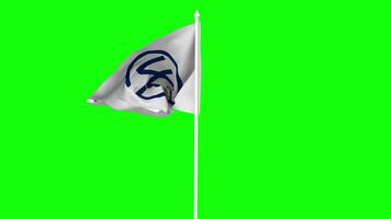 Group of 77, G77 Flag Waving in Wind with Pole, 3D Rendering, Chroma Key, Luma Matte Black and White Selection of Flag video