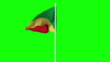 Congo Flag Waving in Wind with Pole, 3D Rendering, Chroma Key, Luma Matte Black and White Selection of Flag video