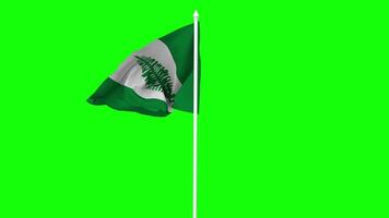 Territory of Norfolk Island Flag Waving in Wind with Pole, 3D Rendering, Chroma Key, Luma Matte Black and White Selection of Flag video