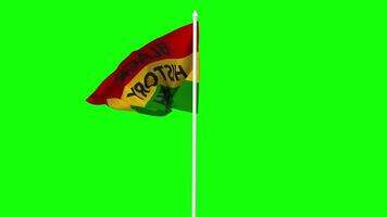 Black History Month Flag Waving in Wind with Pole, 3D Rendering, Chroma Key, Luma Matte Black and White Selection of Flag video