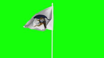 Eurasian Economic Union, EAEU, EEU Flag Waving in Wind with Pole, 3D Rendering, Chroma Key, Luma Matte Black and White Selection of Flag video