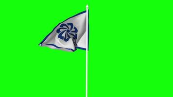 comunidade do Português língua países, cplp bandeira acenando dentro vento com pólo, 3d Renderização, croma chave, luma fosco Preto e branco seleção do bandeira video