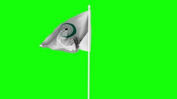 Organisation of Islamic Cooperation, OIC Flag Waving in Wind with Pole, 3D Rendering, Chroma Key, Luma Matte Black and White Selection of Flag video