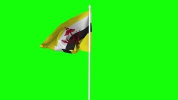 Brunei Flag Waving in Wind with Pole, 3D Rendering, Chroma Key, Luma Matte Black and White Selection of Flag video
