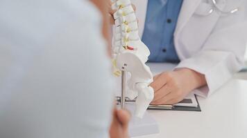 Orthopedists holding digital tablet and pointing at model. Concept of osteoporosis, back pain, lumbar, chiropractic and health. video