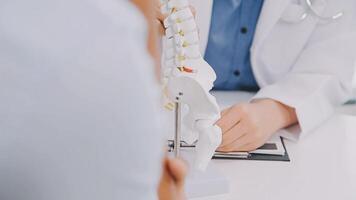 Orthopedists holding digital tablet and pointing at model. Concept of osteoporosis, back pain, lumbar, chiropractic and health. video