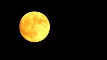 Glowing yellow huge full moon as seen from earth through the clouds against starry night sky. Large full moon moves across the sky, moon makes its way from bottom left frame to top right. video
