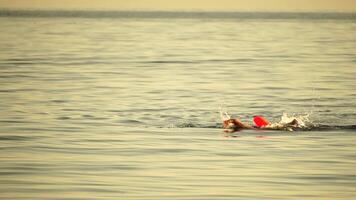 Man swimming in sea with sun shining on calm water. Professional swimmer training in open water. Sportsman in swimwear exercising at sunset video