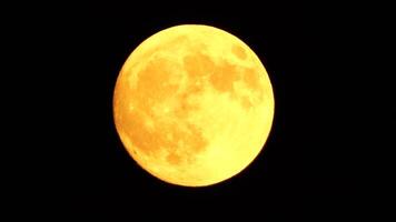 Glowing yellow huge full moon as seen from earth through the clouds against starry night sky. Large full moon moves across the sky, moon makes its way from bottom left frame to top right. video