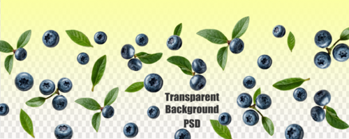 Image of blueberries with green leaves on a remote background. Macro photo of blueberries psd