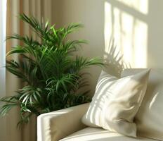 Modern living room with plant and natural light photo