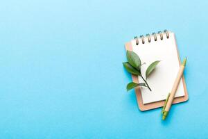 eco-friendly Empty notebook with pen and green leaf on Colored background for note photo