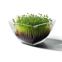 A close-up image of microgreens in a transparent bowl, with a creative focus on the intricate veins on th png