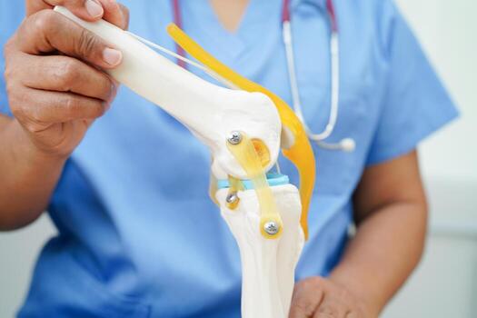Knee osteoarthritis, Doctor showing model knee joint orthopedic. photo