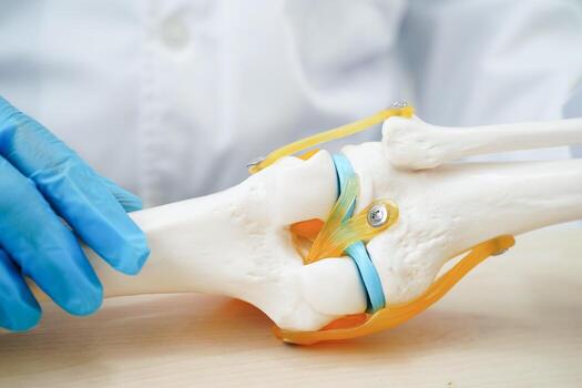 Knee osteoarthritis, Doctor showing model knee joint orthopedic. photo