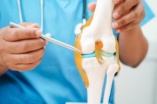 Knee osteoarthritis, Doctor showing model knee joint orthopedic. photo
