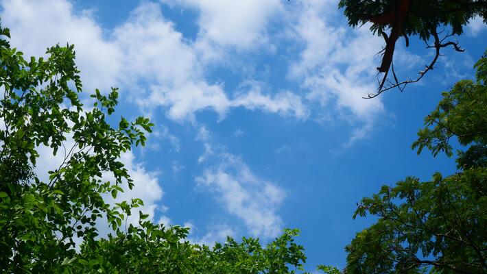 (BLUE SKY様1) bright-blue-sky-white-clouds-
