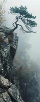 A pine tree clings to the edge of an ancient cliff amidst misty weather and gray rocks photo
