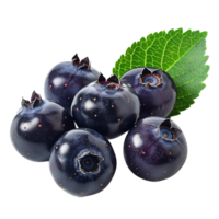 Fresh ripe bilberry and green leaf flying isolated on transparent background png